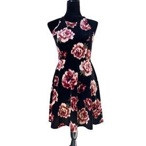 Hollister Velvet Floral Sleeveless Dress